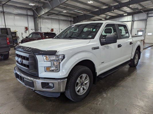 2015 Ford F-150 XL in Butler, PA - Baglier