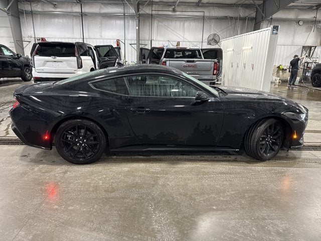 2026 Ford Mustang EcoBoost 2.3L EcoBoost Mustang Nite Pony Package Shadow Black