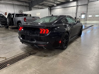 2026 Ford Mustang EcoBoost 2.3L EcoBoost Mustang Nite Pony Package Shadow Black
