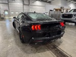 2026 Ford Mustang EcoBoost 2.3L EcoBoost Mustang Nite Pony Package Shadow Black