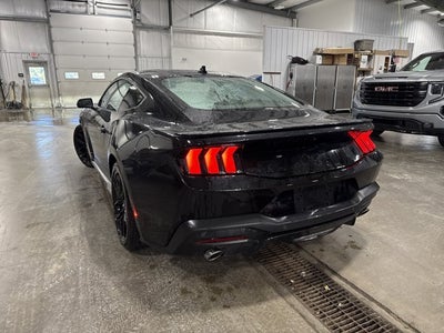 2026 Ford Mustang EcoBoost 2.3L EcoBoost Mustang Nite Pony Package Shadow Black