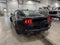 2026 Ford Mustang EcoBoost 2.3L EcoBoost Mustang Nite Pony Package Shadow Black