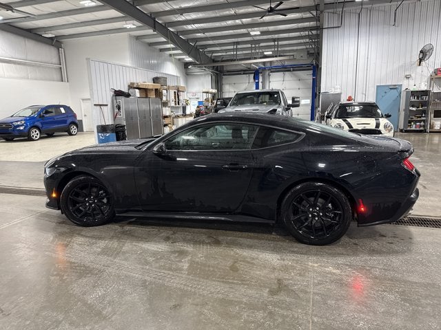 2026 Ford Mustang EcoBoost 2.3L EcoBoost Mustang Nite Pony Package Shadow Black