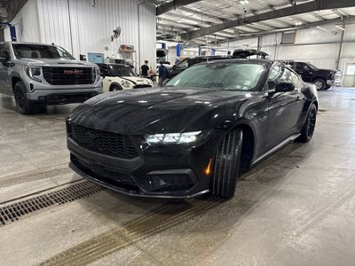 2026 Ford Mustang EcoBoost 2.3L EcoBoost Mustang Nite Pony Package Shadow Black