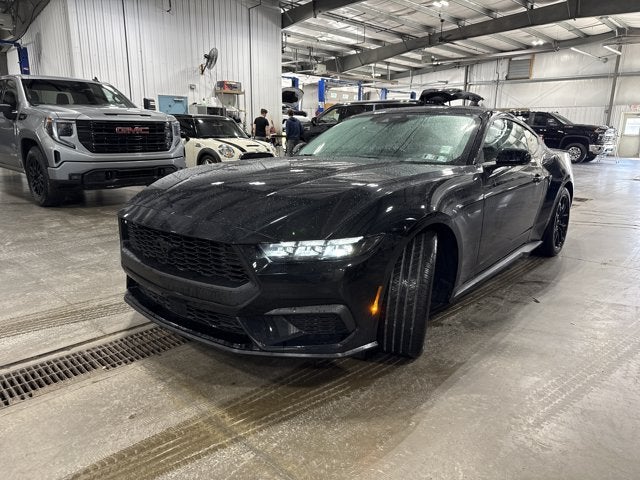 2026 Ford Mustang EcoBoost 2.3L EcoBoost Mustang Nite Pony Package Shadow Black