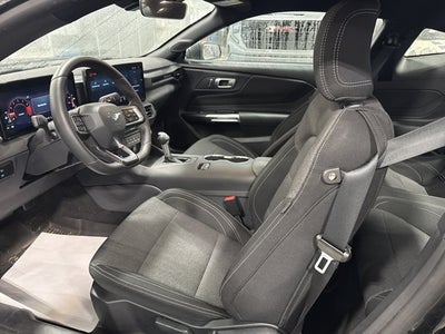 2026 Ford Mustang EcoBoost 2.3L EcoBoost Mustang Nite Pony Package Shadow Black