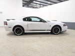 2004 Ford Mustang Premium Mach 1