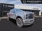 2025 Ford F-250 Super Duty Platinum