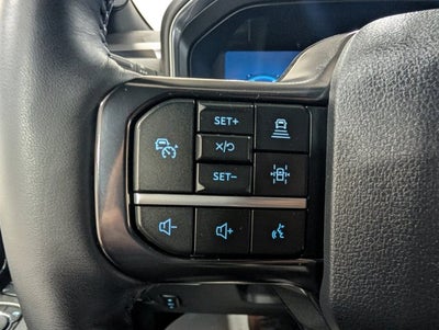 2025 Ford F-350 Super Duty Platinum